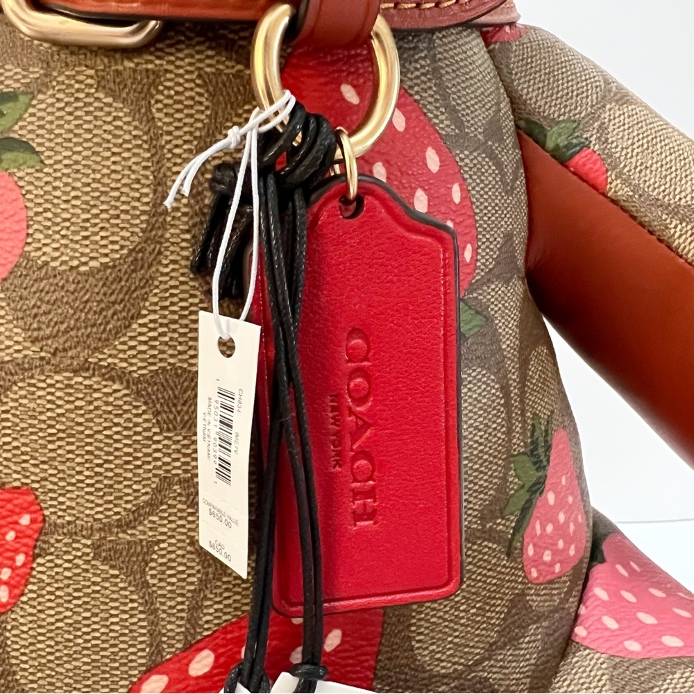 Coach Collectible Teddy Bear Logo Signature Canvas Wild Strawberry Print 16” NEW - Picture 10 of 13